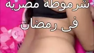 نيك مصرى تقول له صاحبك قاعد