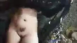 رقص مصري إباحي: هز الصدر والمؤخرة عارية