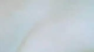 نيكثدي