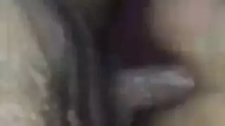 وضعية كلب قاسية مع بنية شعر مصرية مثيرة