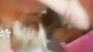 بنات هايجة بتبعبص وبتلعب في كس بعض