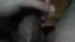 سكس مانويل فيرارا
