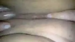 فيدب