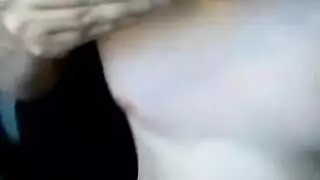 الهرة الأكل البولندي عاطفي