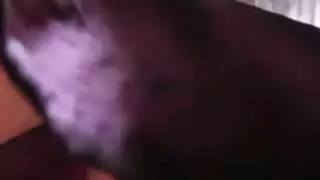 فتاتان بمؤخرات مستديرة كبيرة في متعة ديلدو طوال اليوم