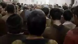 سكفي