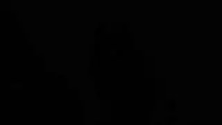 نائب رئيس حار يمارس الجنس مع فم في ثقب المجد في مشهد إباحي