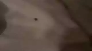 نيك زوجة جديدة