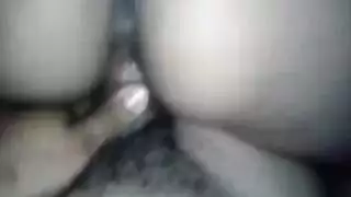 جلسة تزاوج في حظيرة الحيوانات