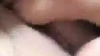 تشريح الطيز