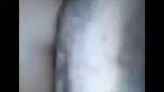 وصاخبة التحويل البرمجي