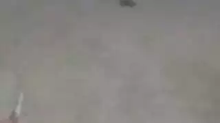 كلب على فتاة: إباحية مع الحيوانات صريحة