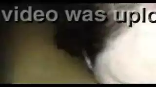 بوف اللسان مشعرات موسيقى