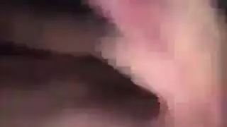 قاعات