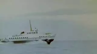 سکسجدید۲۰۱۹