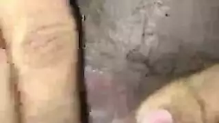 دسار كاتفيغت فرك