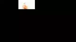 مثير شقراء داكوتا سكاي تمتص ديك