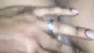 الهرة مزدوجة على ركبتيها شرفة