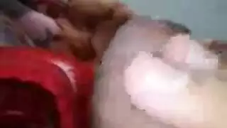 خشب الأبنوس ضخمة الثدي
