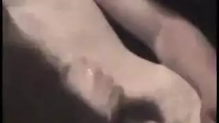 زوج الساعات زوجه رومانسي اللغة السويدية