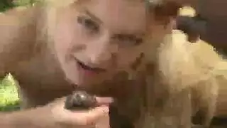 مص أسد امريكي صقيل