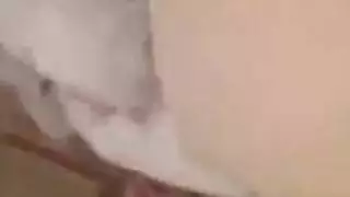 دنايلا