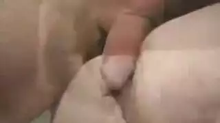 الأبنوس مثليه ترانزيستور السراويل القصيرة