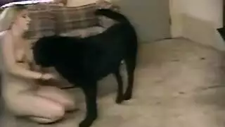 كلب يركب فتاة وينيك كيشا بسرعة وتصرخ حيوانات الجنس