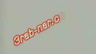 الكلبة العربية