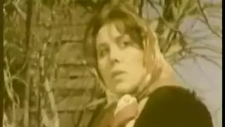 لقد دمروني