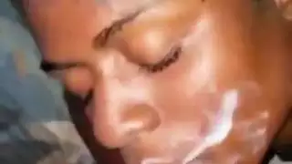 تربية العربية الأبنوس