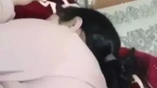 نيك مصرية واللعب في بزازها الملبن