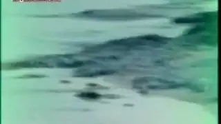 حجم كبير