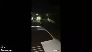 في الشارع أمام الجميع