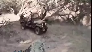 كلاسيكي قديم الجميلة النائمة خوخة