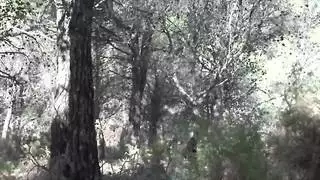 هذه الزوجة المسلمة غير المخلصة تتيح للمزارع المحلي أن يمارس الجنس مع الأحمق لها