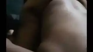كبير الحمار هزلي أسلوب قصف المعاينة
